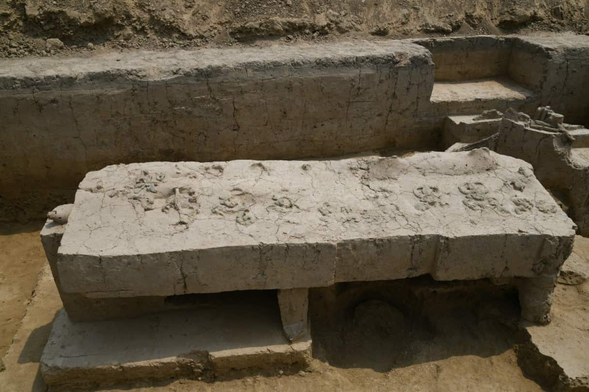 ASI Excavation site