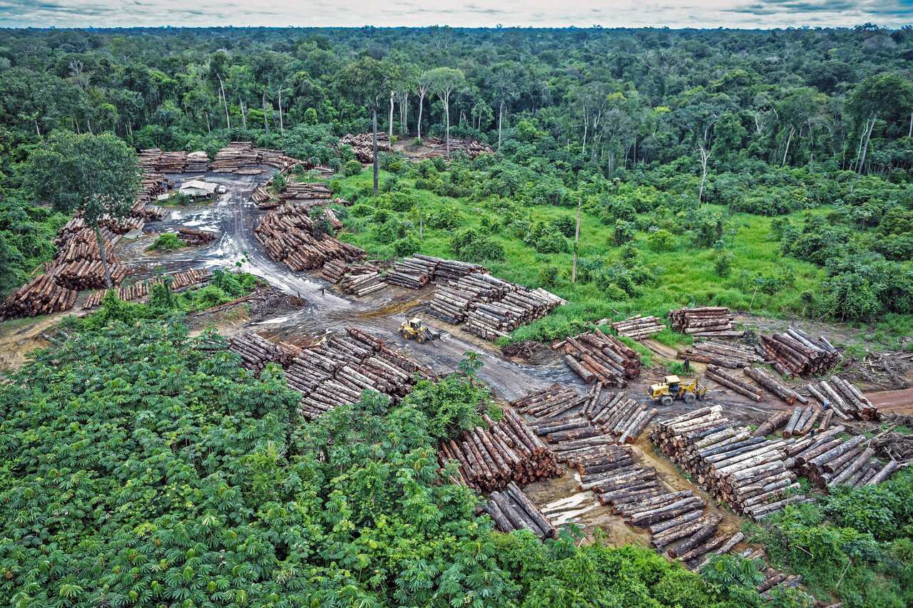 Illegally logging site on Pirititi indigenous amazon lands on May 8, 2018 (Felipe Werneck/Ibama via flickr via AP)