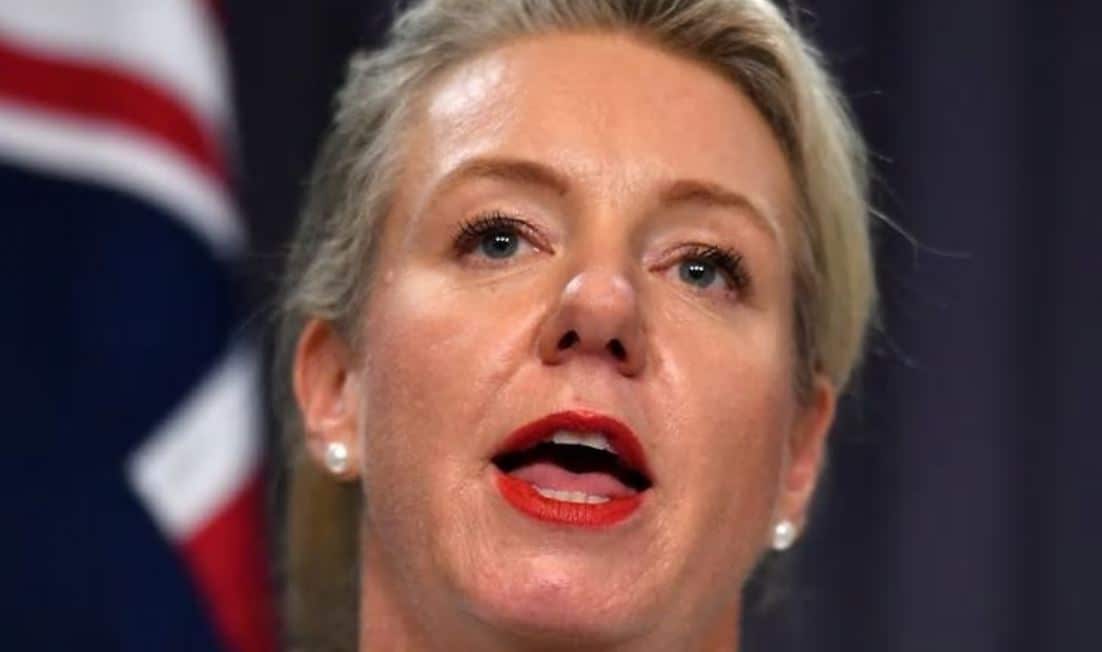 Bridget McKenzie