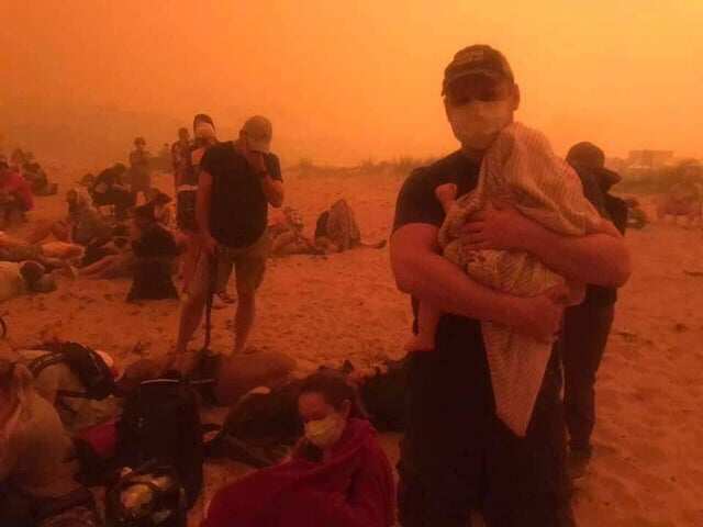 Bushfire survival
