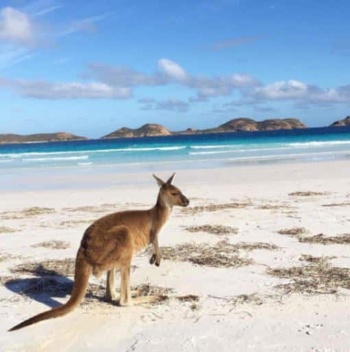 andre buiat road trip