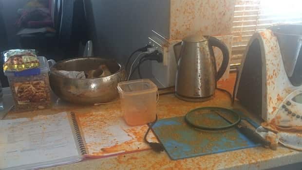 Mother suffers horrific burns after Thermomix bursts open