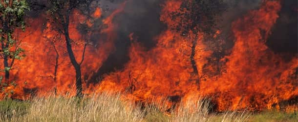 Bush fire in Tasmania & Victoria