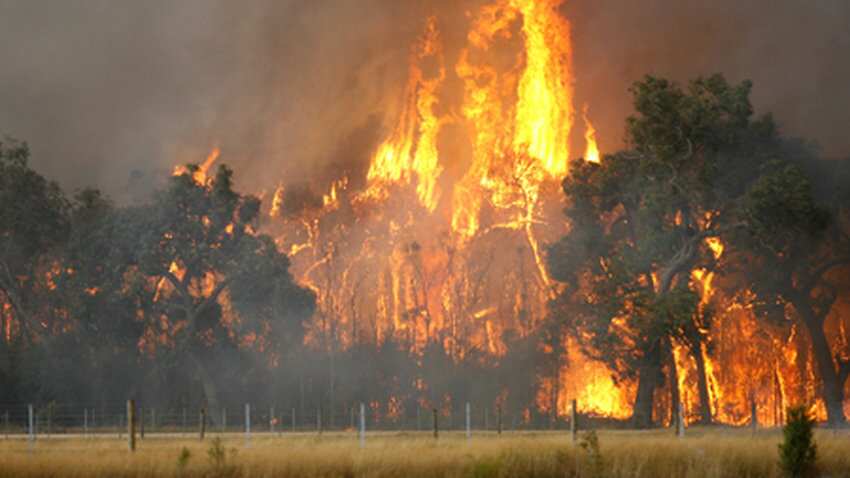 Strong winds fan Vic bushfires.