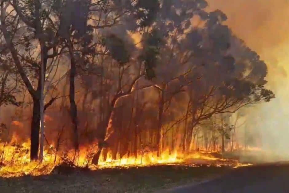 Nowra Bushfire