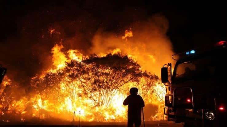 Bushfires: Inside the Inferno
