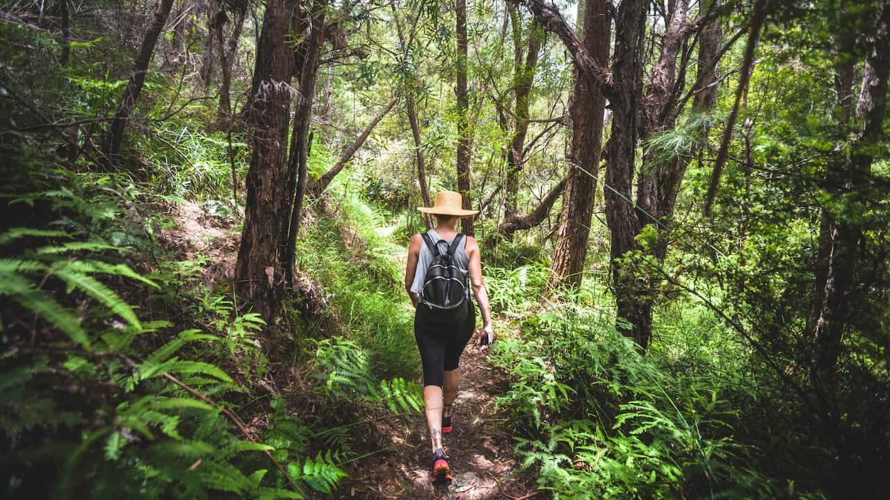 bushwalking Australia  