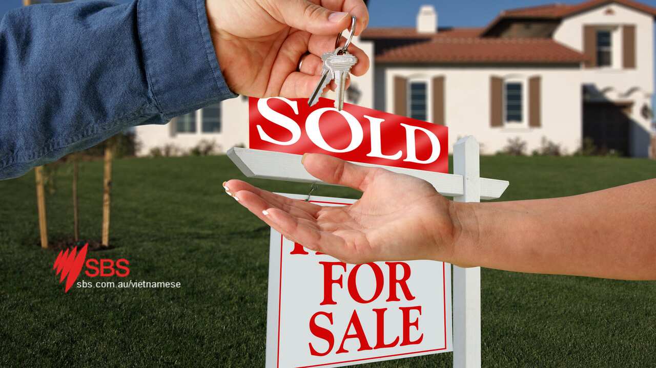 Trên thực tế thì hình thức "thuê rồi mua" này có thể dẫn đến nhiều vấn đề tranh chấp.