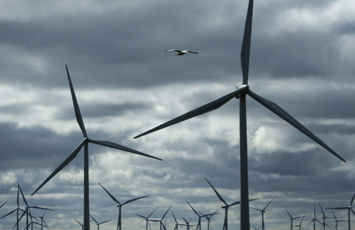 The Australian Medical Association (AMA) and Australia’s National Health and Medical Research Council have found no link between wind farms and health effects.