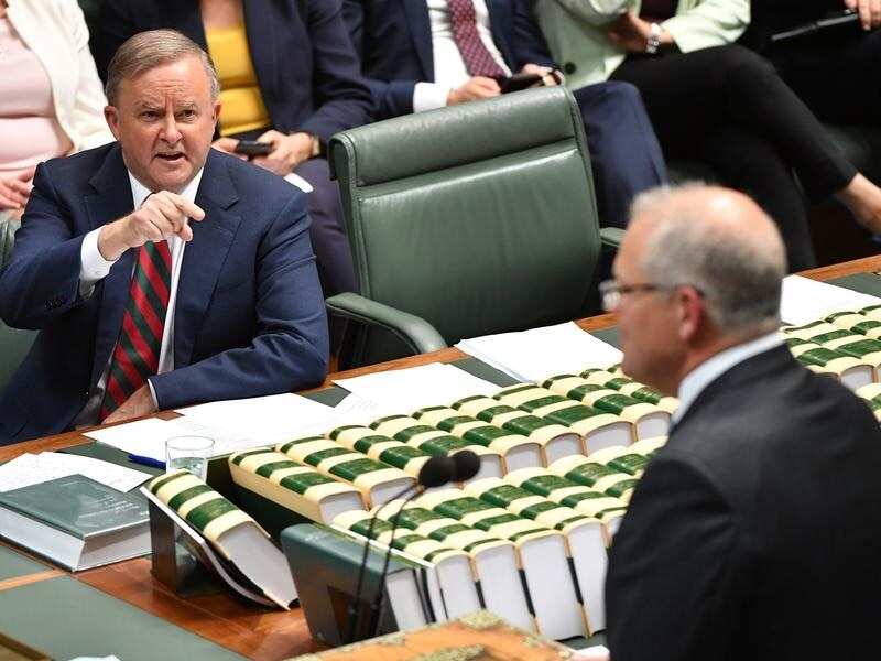 Opposition Leader Anthony Albanese and Prime Minister Scott Morrison.