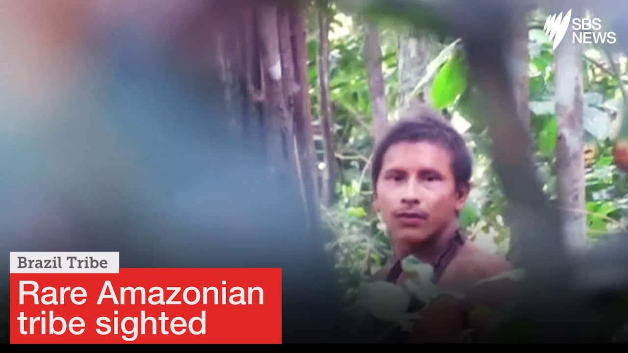 Rare Amazon tribe caught on tape in Brazil as loggers move in