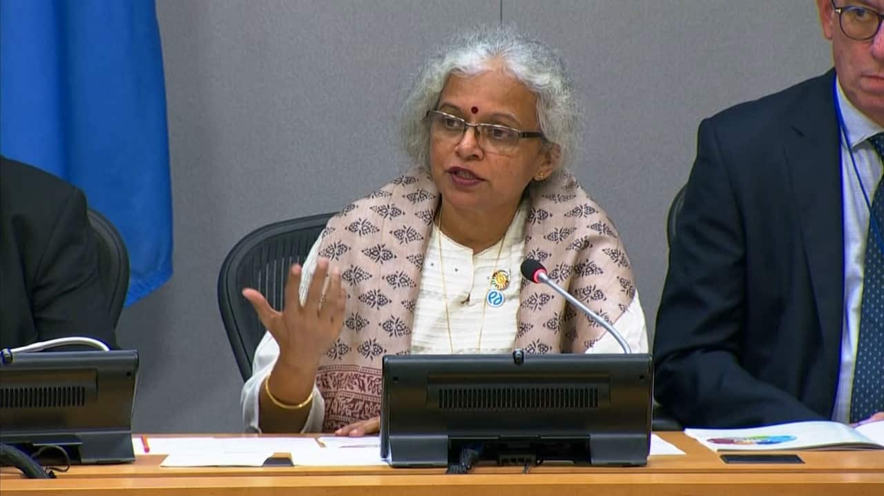 Leena Srivastava, Deputy Director General for Science, IIASA 