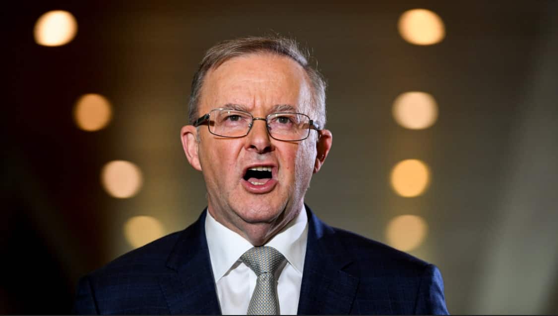 Opposition leader Anthony Albanese speaks to the media during a press conference at Parliament House in Canberra.