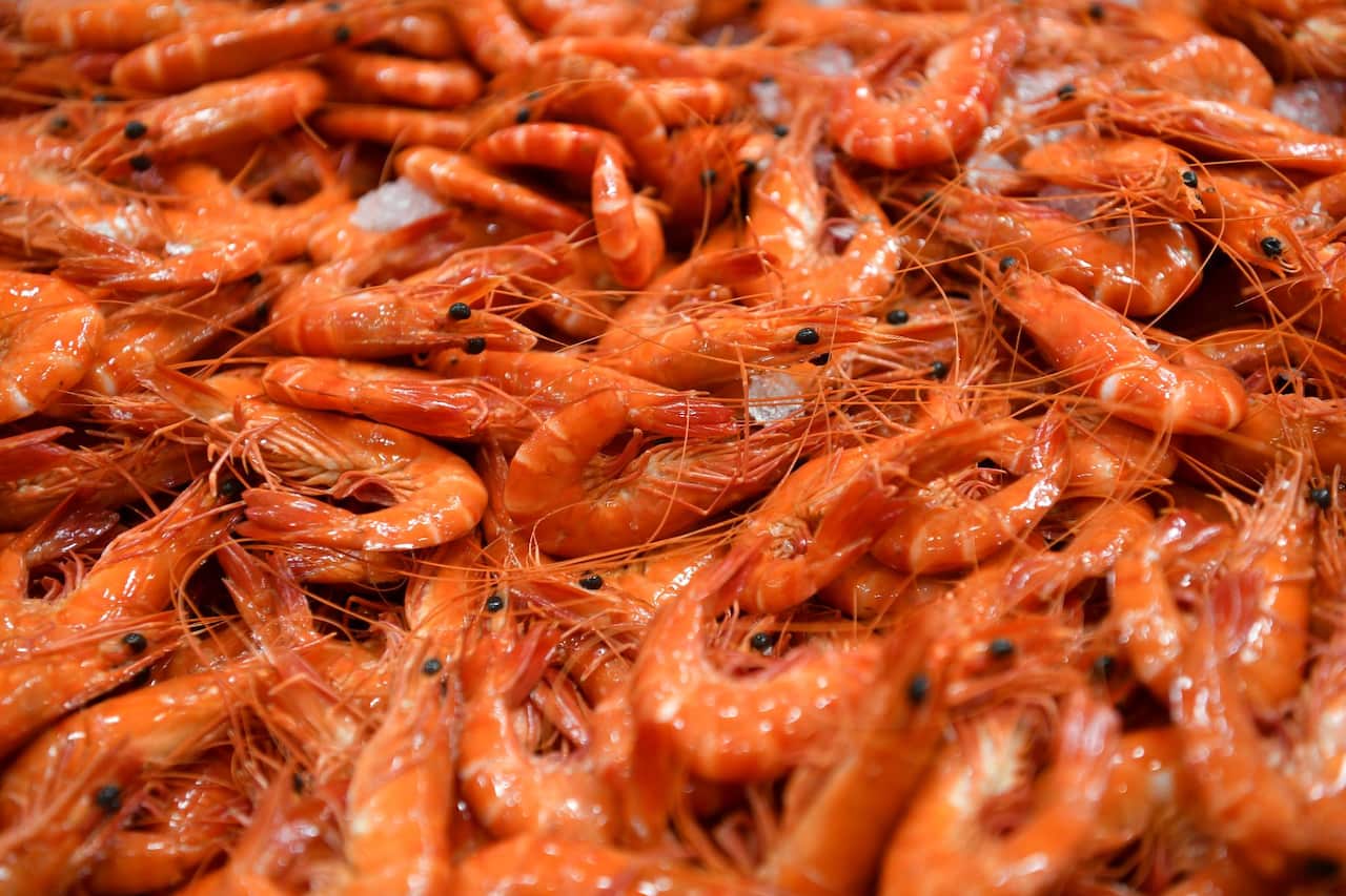 Fresh Australian prawns 