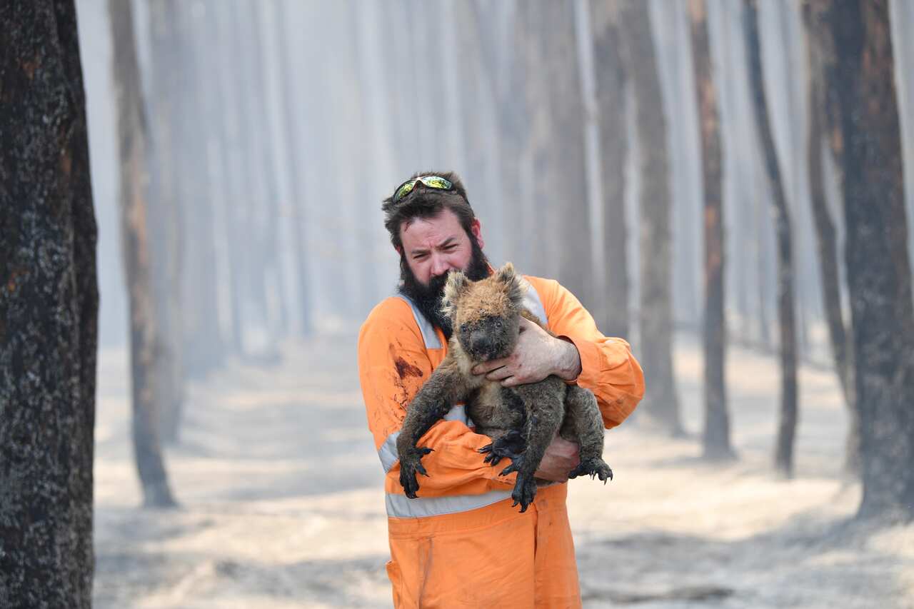 Wildlife rescuer Simon Adamczyk is seen with a koala rescued at a burning forest near Cape Borda on Kangaroo Island, southwest of Adelaide.
