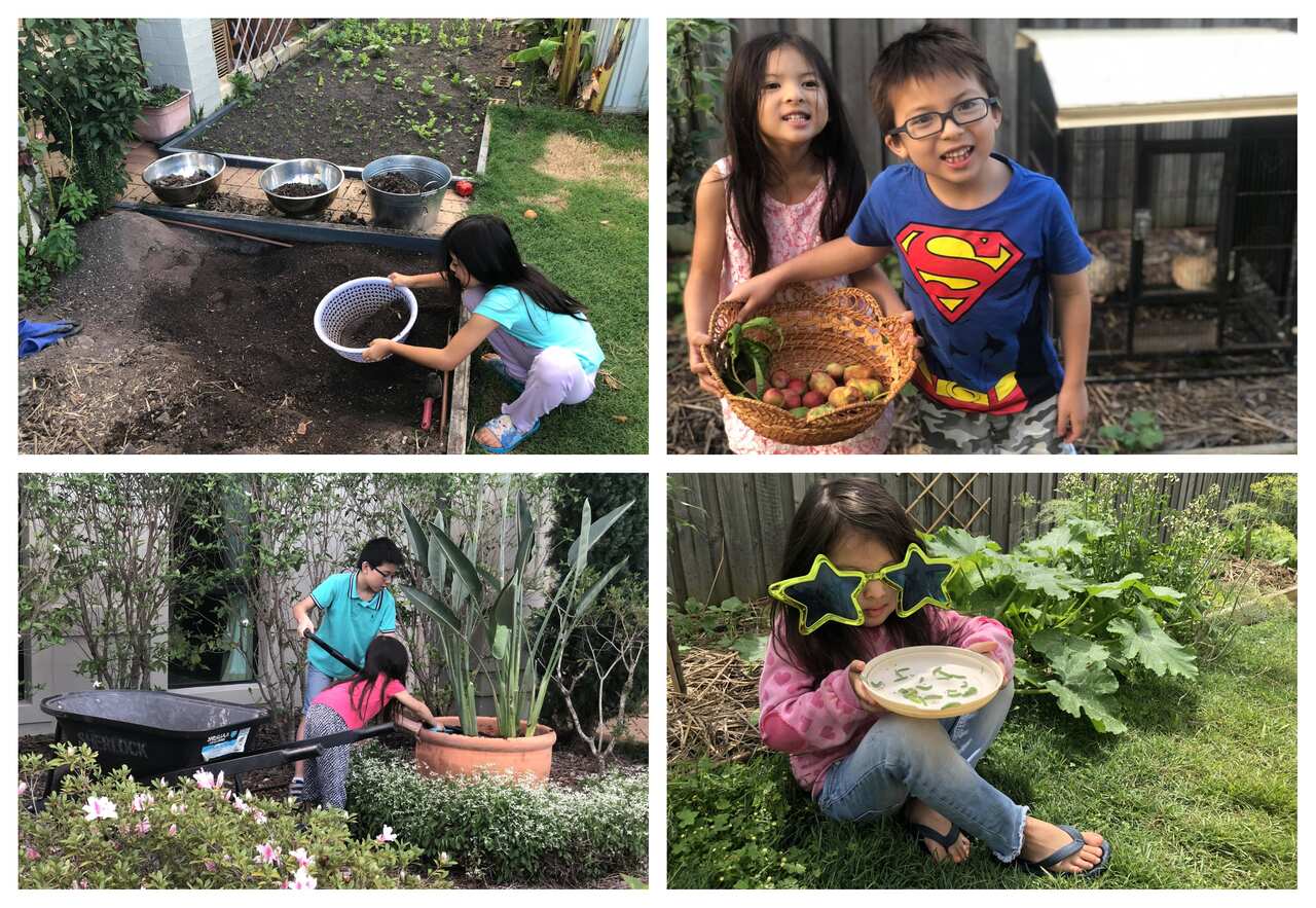 Anh hai Ân đảm nhiệm công việc nặng nề nhất là cuốc đất, anh giữa Jah tưới cây, em út Layla lo bắt sâu và rải hạt giống