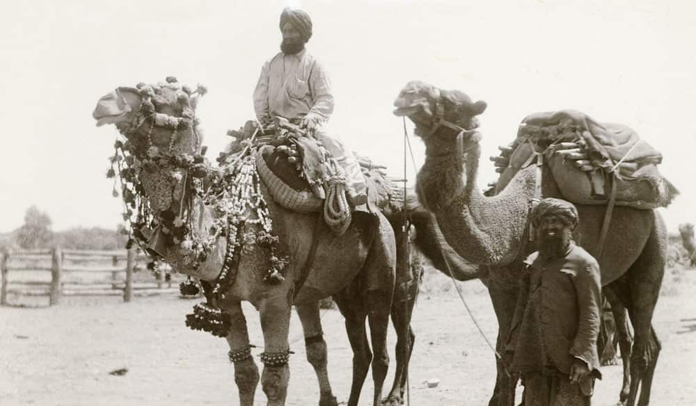 Two-Afghan-handlers-and-their-camels-one-of-which-is-wearing-traditional-decorative-harness-circa-1890