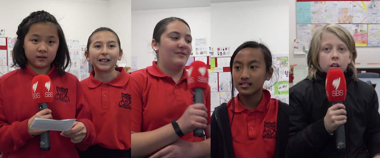 10th anniversary for the Korean bilingual program in Campsie Public School