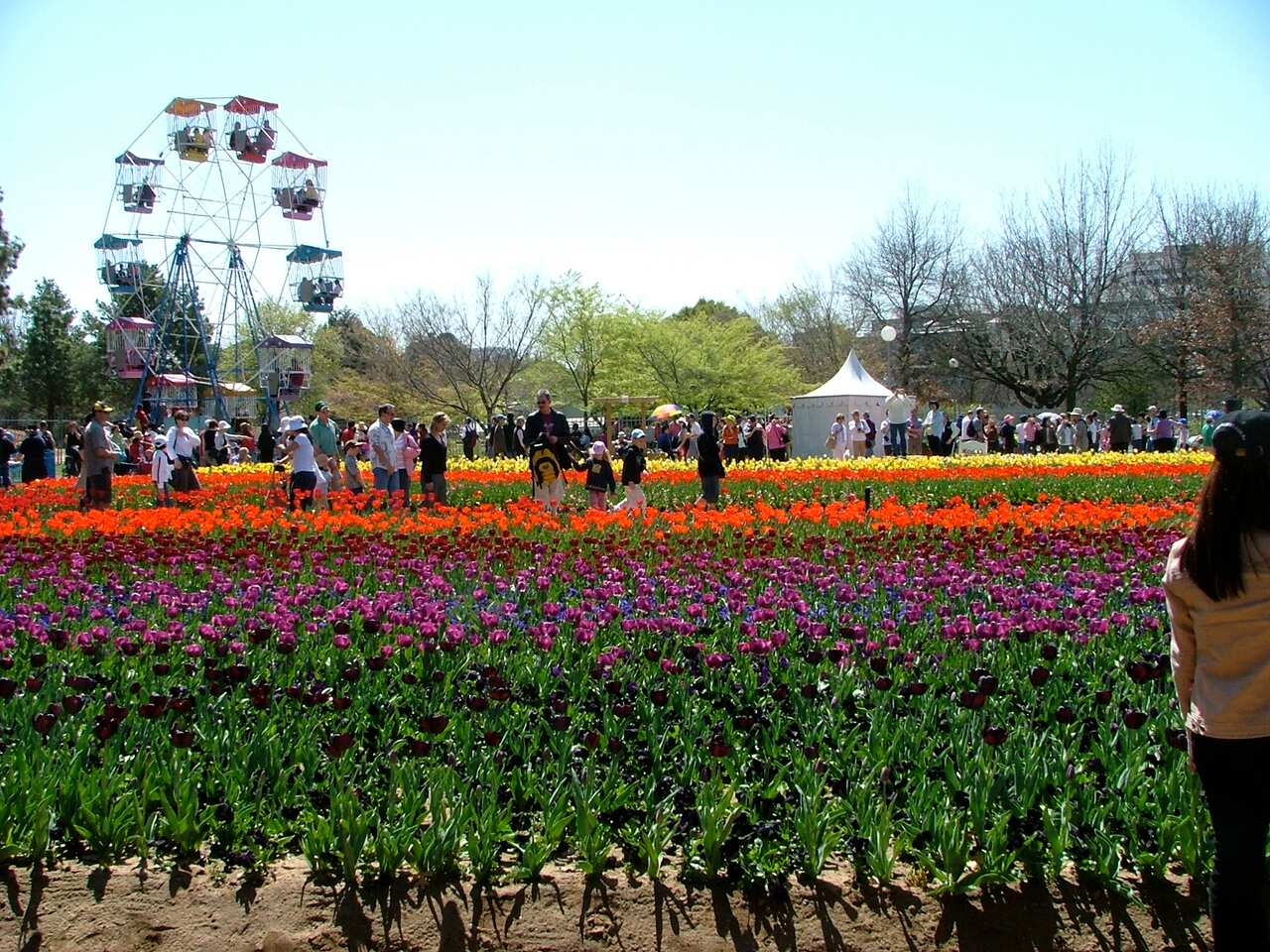 Canberra floriade