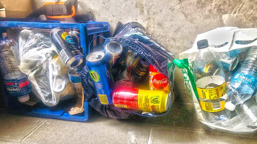 Cans collected by Nisha Ghale