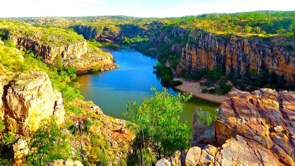 Australia’s animal extinction crisis