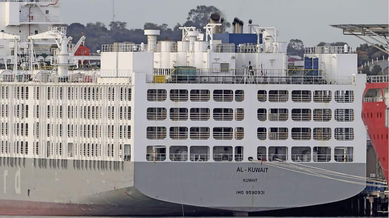 The Al Kuwait, a coronavirus-stricken live export ship docked in Fremantle harbour on Tuesday, 26 May, 2020. 