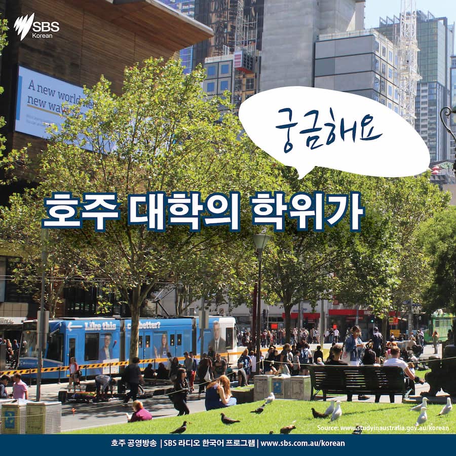 Card News: Higher Education Qualifications