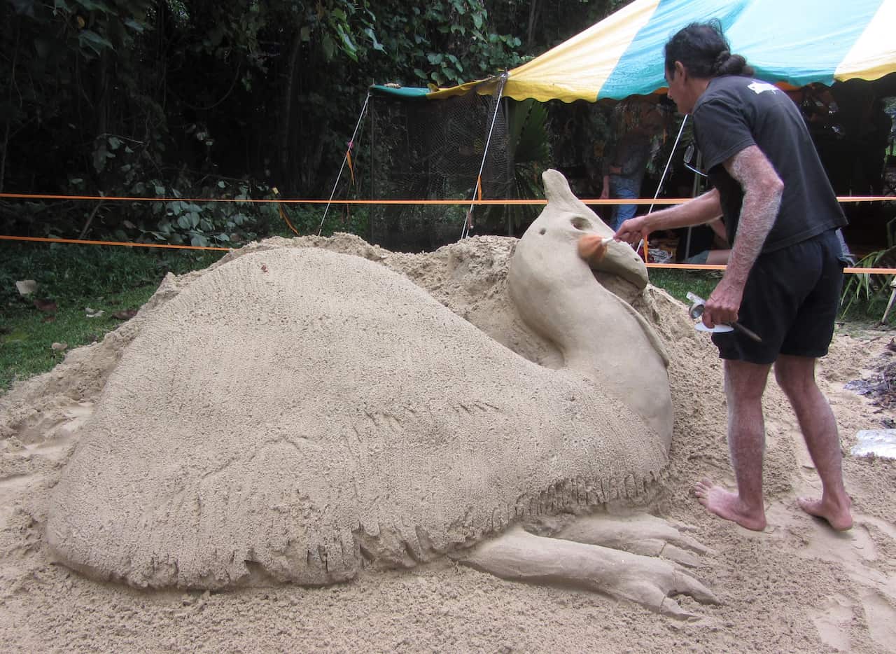 Cassowary sand sculpture