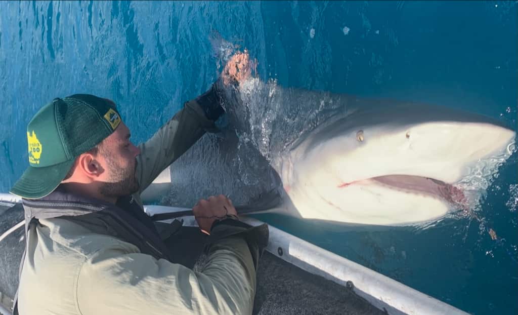 Nicolas bei der Feldarbeit