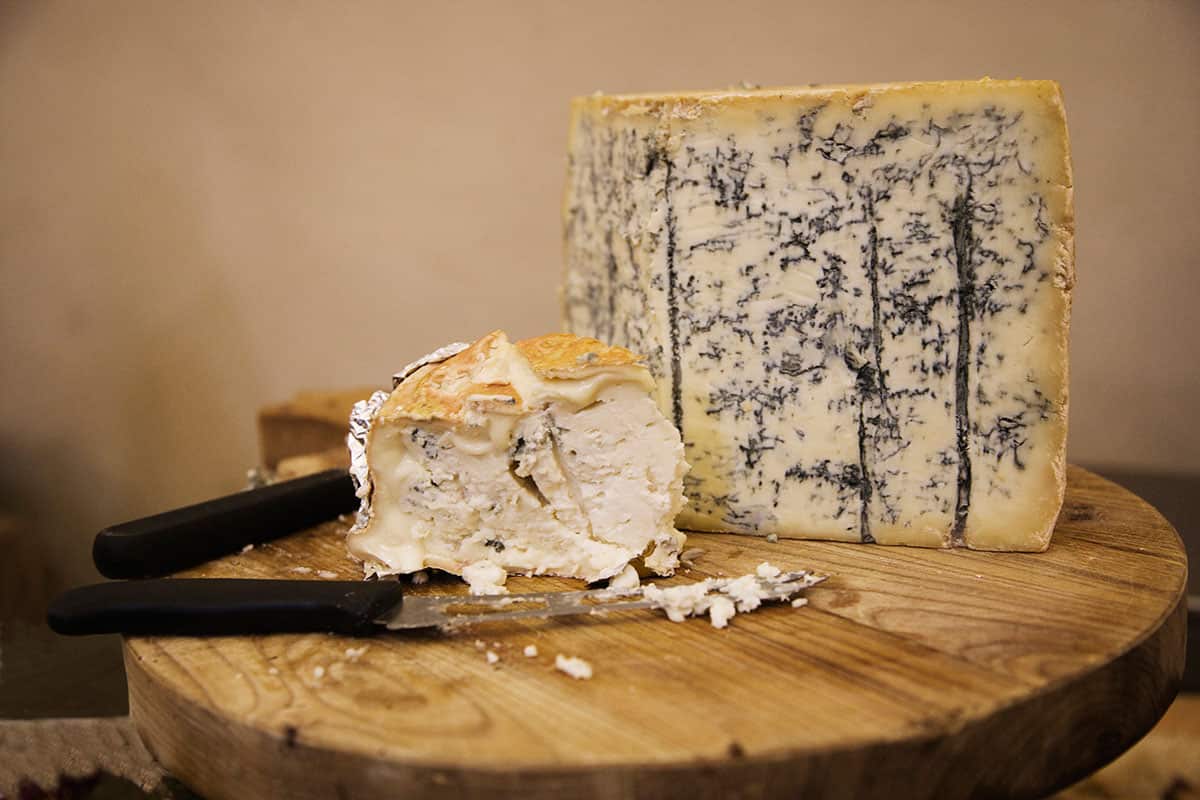 Blue cheese bacteria