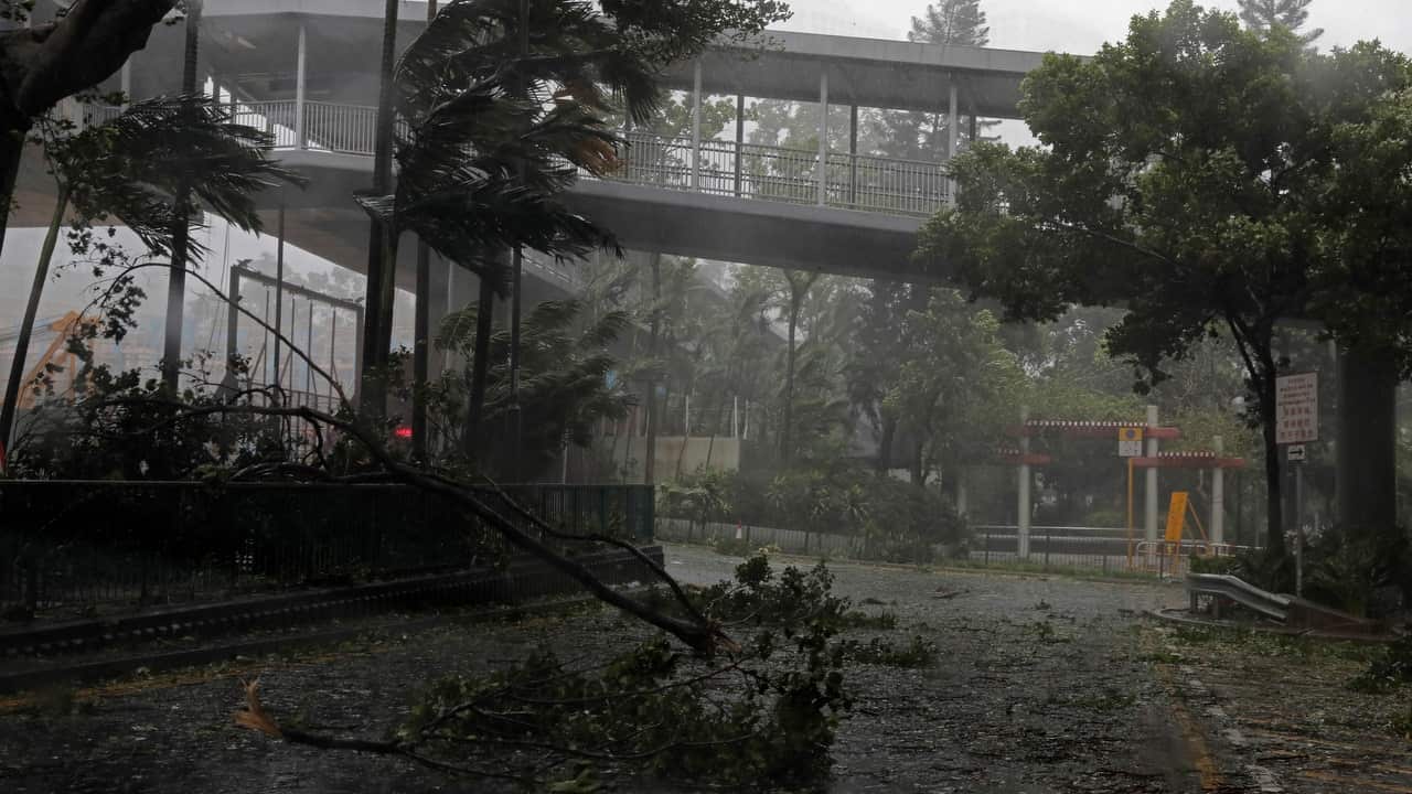 A fallen tree caused by typhoon Mangkhut lies at a street in Hong Kong.