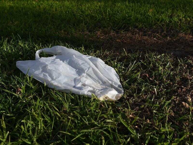 A single-use plastic bag on the grass in Melbourne