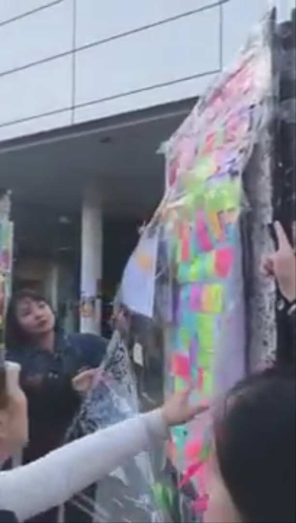 Protesters tear down a pro-Hong Kong 'Lennon wall' at the University of Sydney.