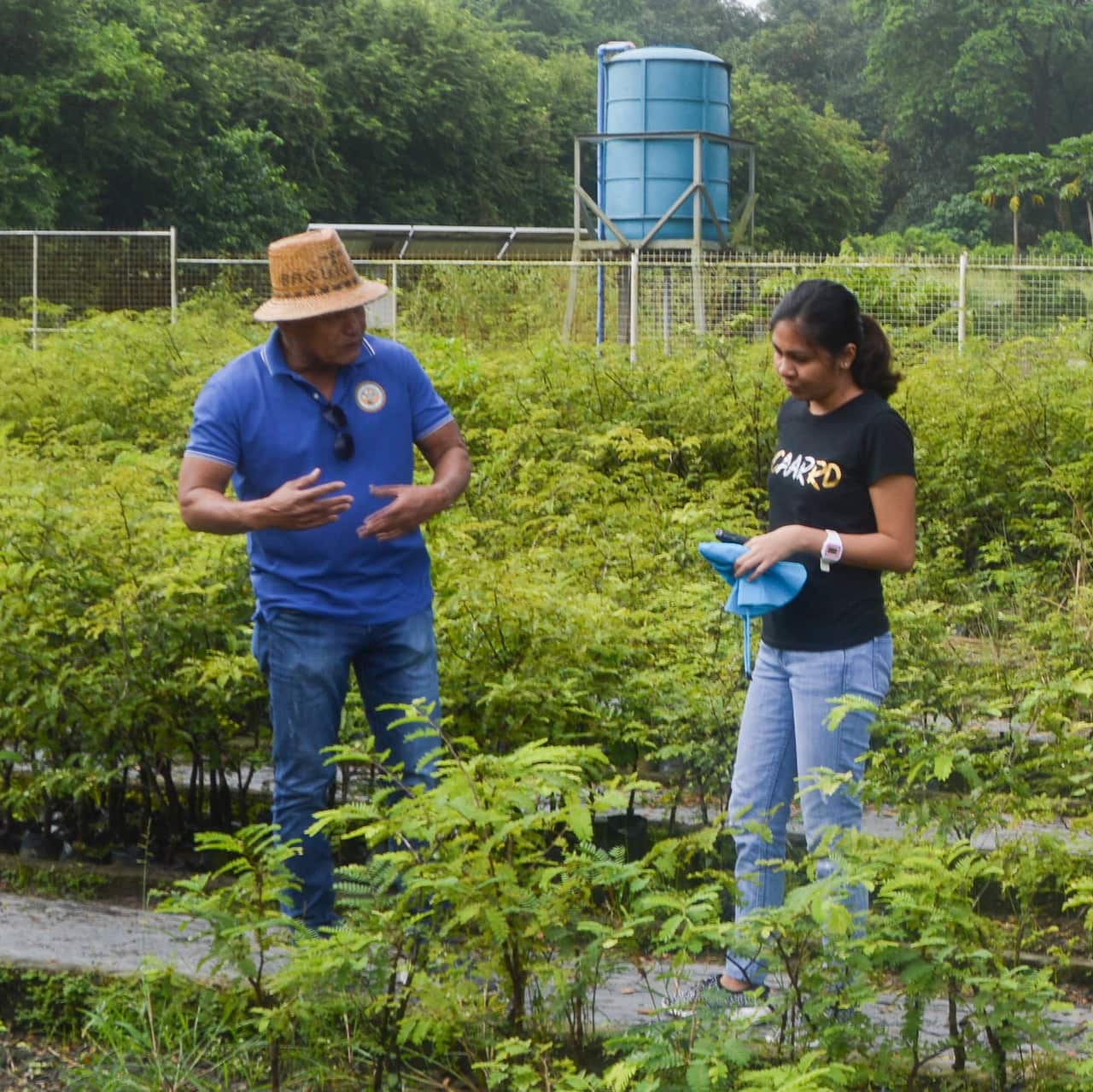 75 years Philippine Australia Relations, Diplomatic Ties, Australian in the Philippines, Filipinos in Australia, mateship and bayanihan. Australian Embassy, Agriculture Research