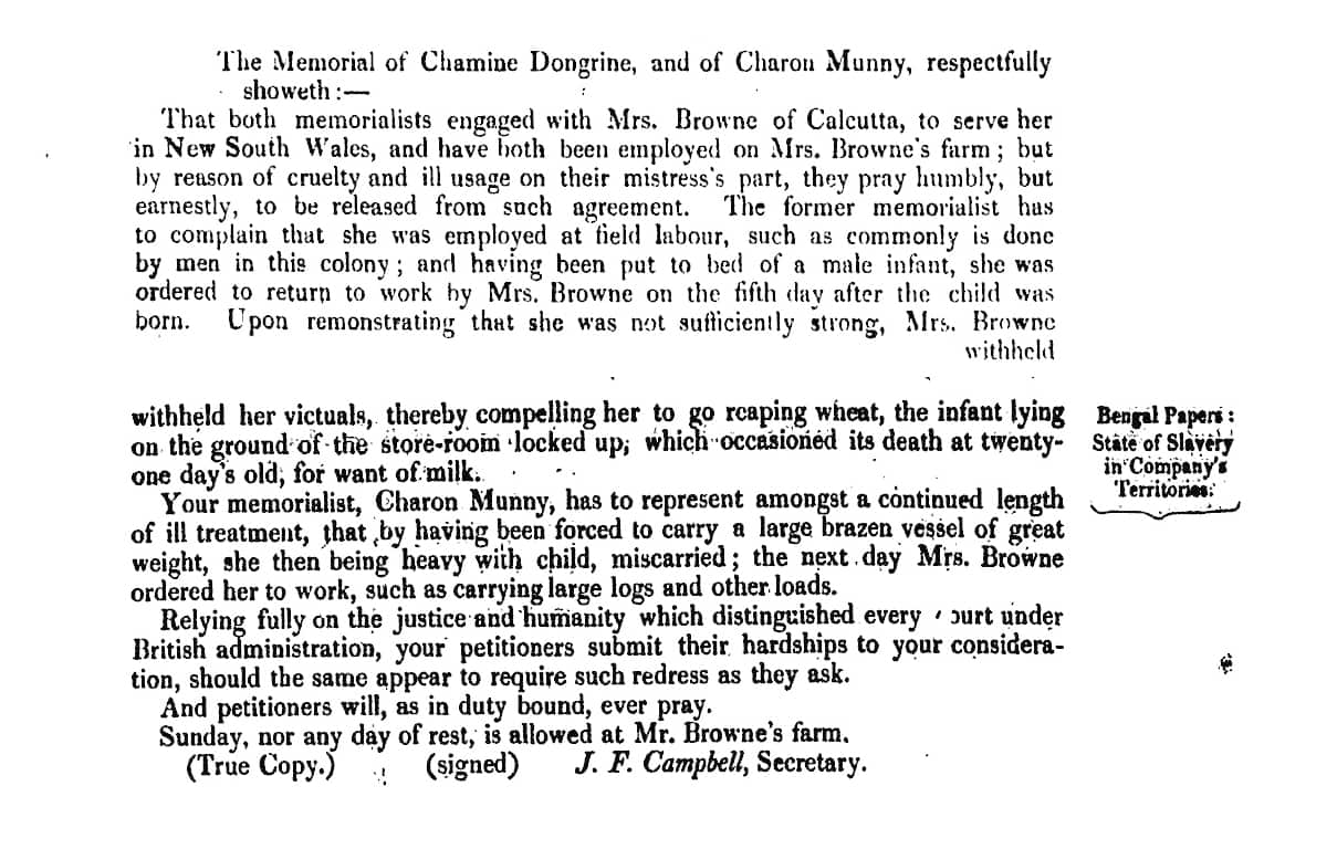 Written Testimony by Chamine Dongrine, Charon Munny