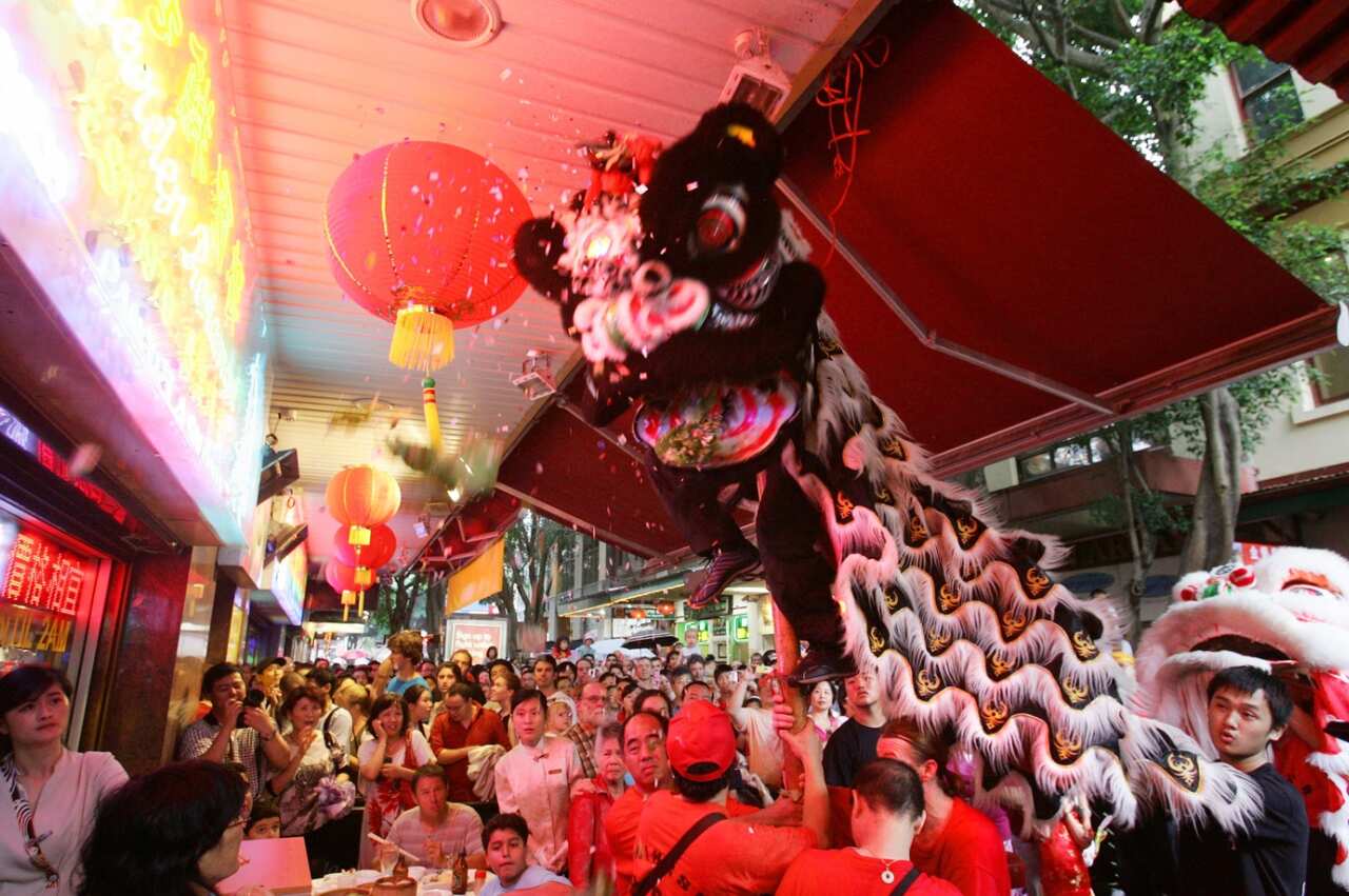 Chinese dancing dragons perform in the Chinese New Year Festival in Sydnehy.