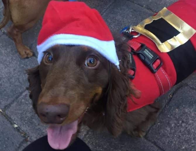 Christmas in the City 