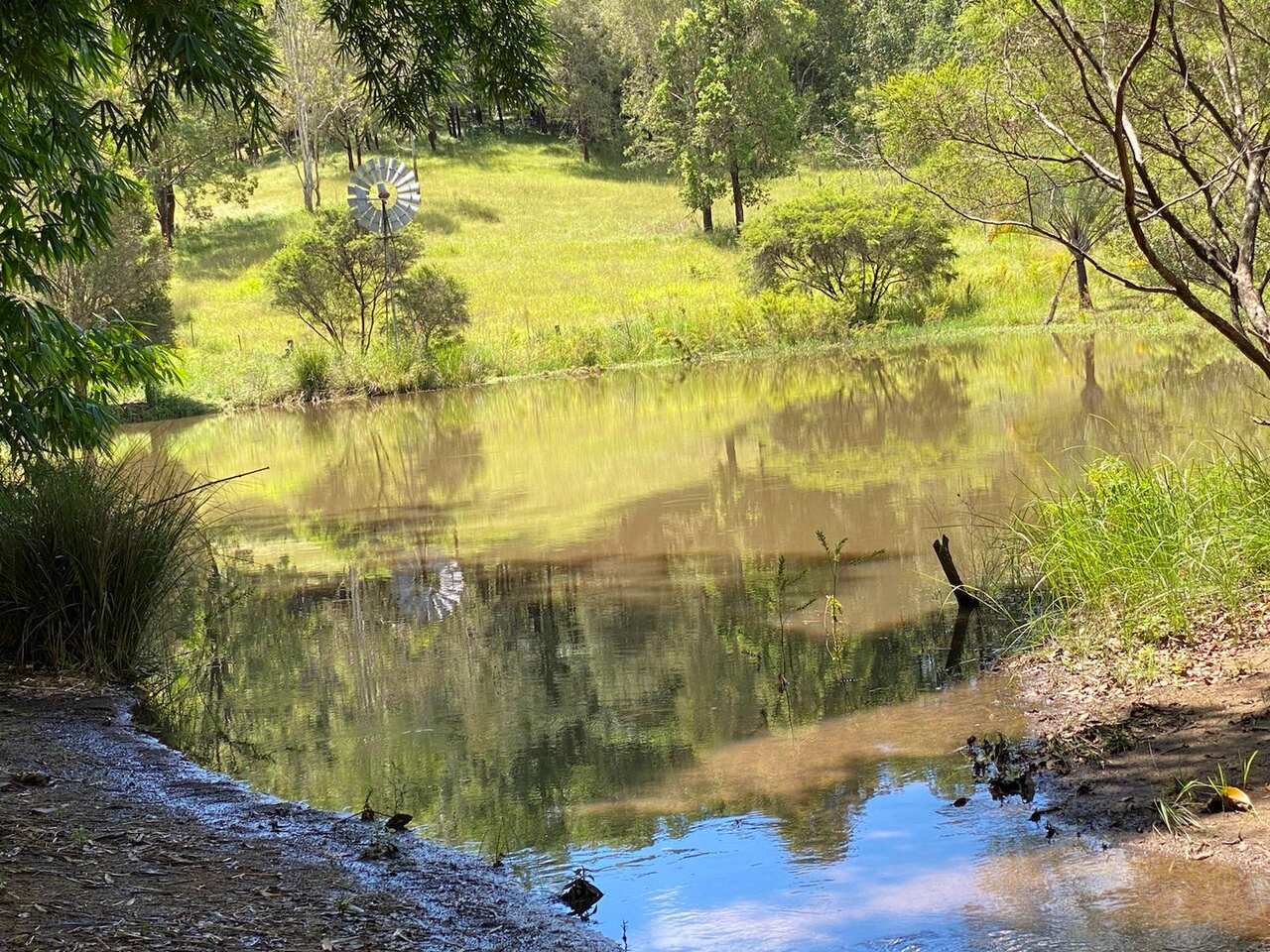 農場地勢較高部份，未受水浸影響。