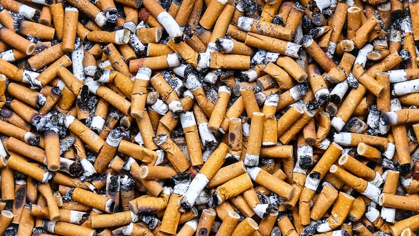 Cigarette butts are the most and worst polluted material in the world.
