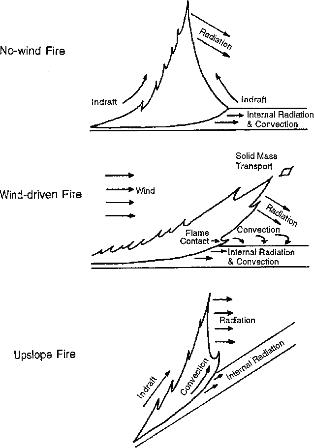 山火在不同情况下燃烧的方向示意