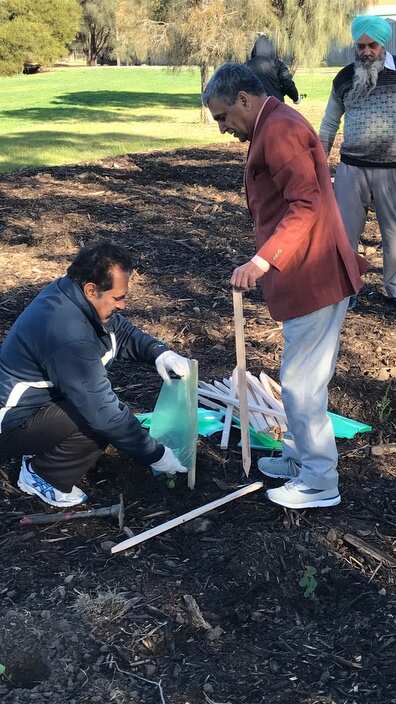 Tree Plantation in Wyndham by Club 60