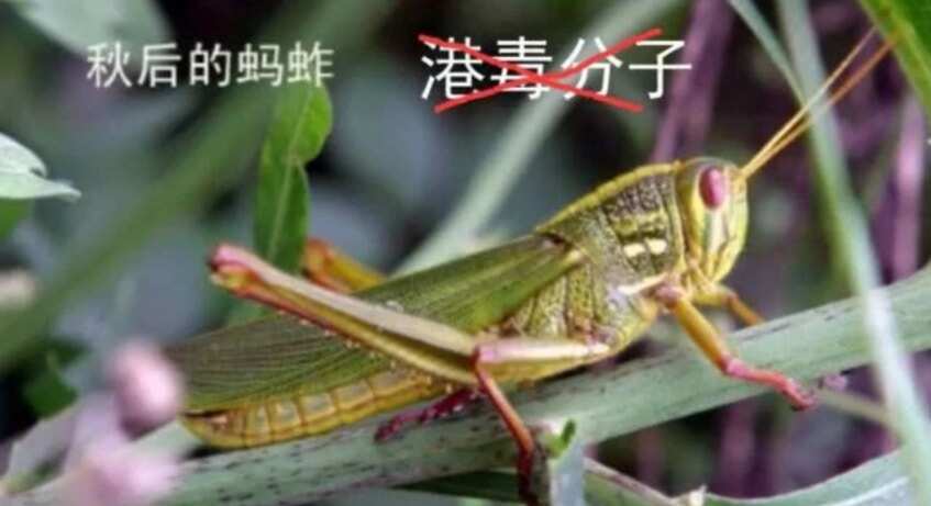 Hong Kong: Military warns ‘we can hit airport in 10 minutes’