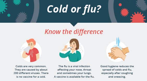 cold or flu what is the difference