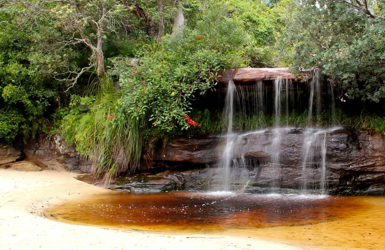 Collins Flat Beach, Sydney Harbour National Park