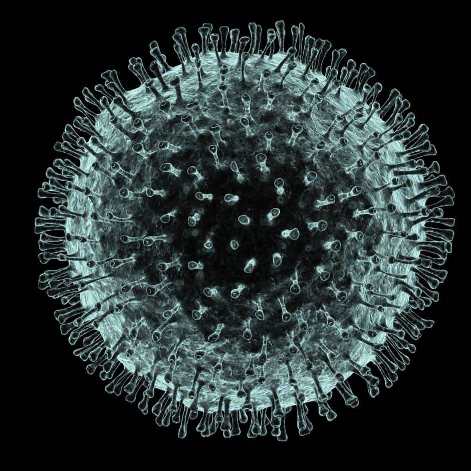 Computer artwork of the coronavirus ©Science Photo Library PASIEKA