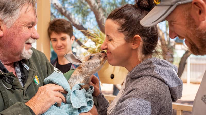 Wild Life in Cooper Pedy