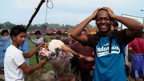 Livestock and the global challenge to reduce green-house emissions.