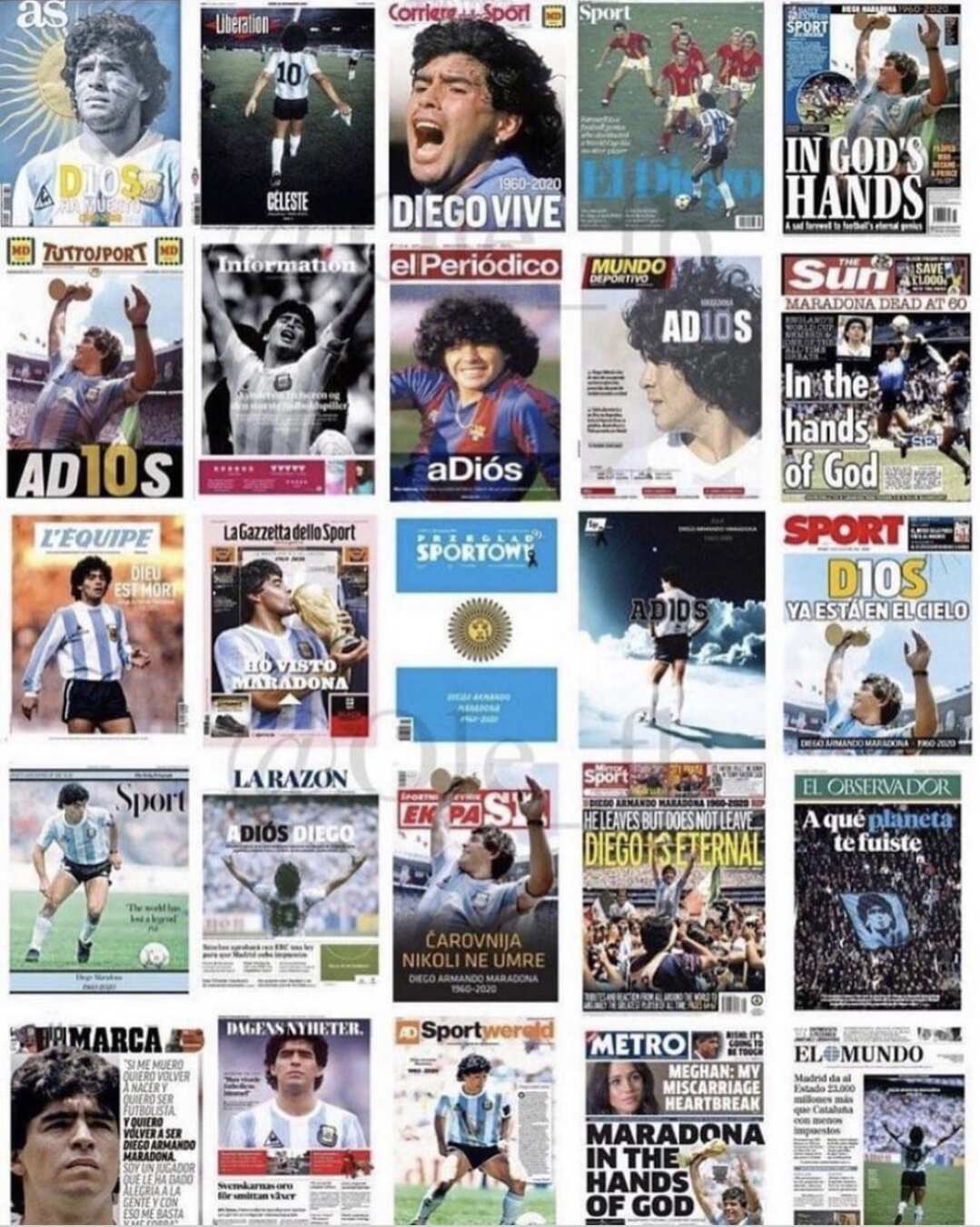 Le prime pagine di alcuni quotidiani 