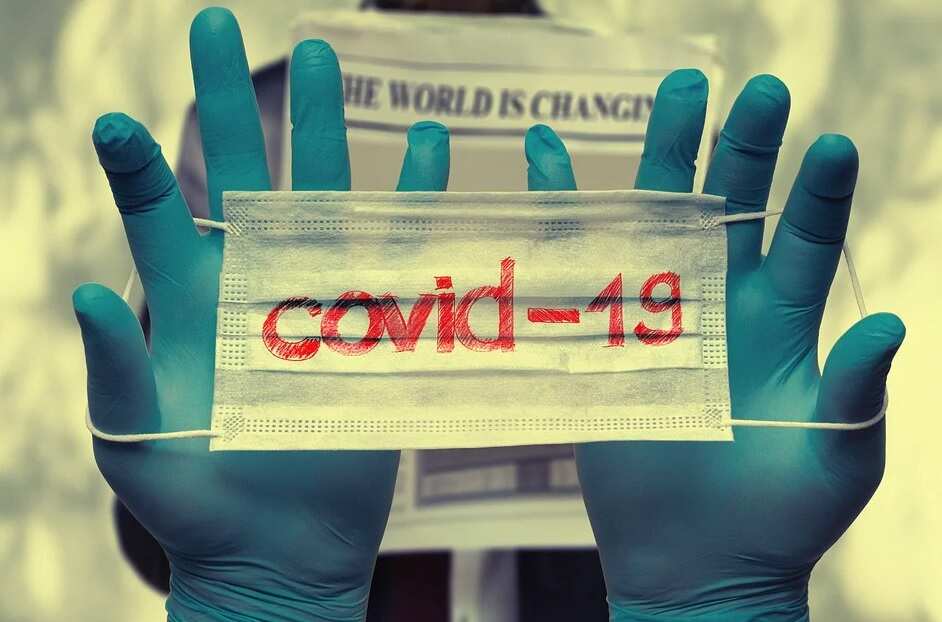 temporary visa holders