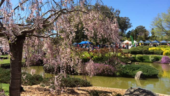 Cowra Japanese garden